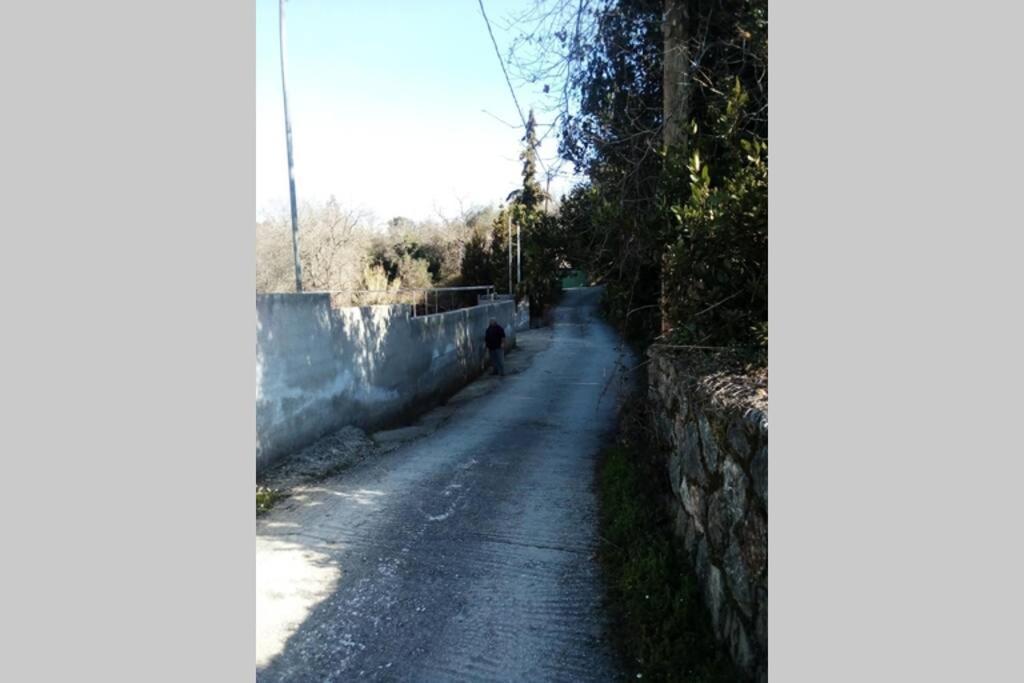 Υπεροχη Διαμονη... Achílleion Exteriör bild