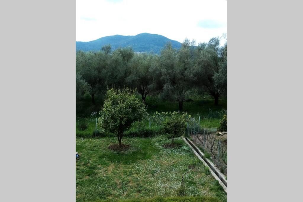 Υπεροχη Διαμονη... Achílleion Exteriör bild
